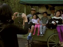 Smithsonian National Zoo Re-Opens After Government Shutdown Stock Footage