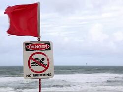 Video of closed beach sign Stock Footage