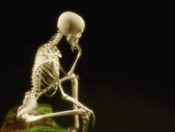 Skeleton Thinker Stock Footage