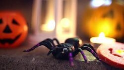 Halloween pumpkin decoration on stone stairs Stock Footage