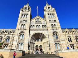 Natural History Museum London uk Stock Footage