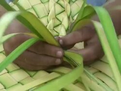 Woman interweaving a mat, village of Mapajo inhabited by the tribe of Mosetenes, Bolivia, Amazon Stock Footage