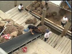 Waveland, Mississippi Mayor Tommy Longo talks about the potential impact of the Gulf oil spill to the region's fishing and tourism industries. Instructional Video