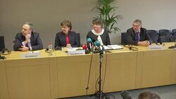 NIrish party leader says EU proposals over border are 'not acceptable' Instructional Video