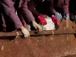 MS ZO Group of indigenous Russians pull up fishing net from ice / Nogliki,  Sakhalin, Russia Stock Footage