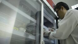 Asia medical technician man doing quality control of blood bag during storage refrigerator in laboratory hospital Stock Footage