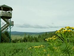 An observatory with a meadow in background Stock Footage