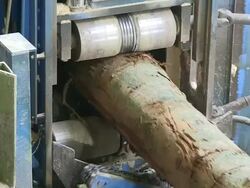 CU Log going automatically into saw machine at saw mill / Schweich, Rhineland Palatinate, Germany Stock Footage