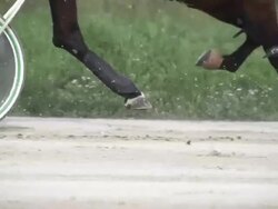 HD SUPER SLOW MO: Harness Horses Racing Stock Footage