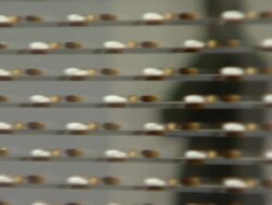 Bono and Damien Hirst Paint the Town Red For Aids In Africa - The (RED) Auction Stock Footage