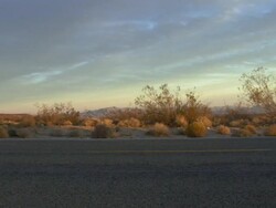 Male running along road at sunset Stock Footage