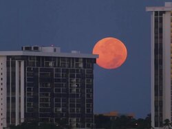 Red Moon over Miami Stock Footage