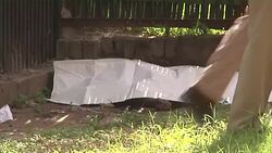 A white tiger killed a young man who climbed over a fence at the New Delhi zoo and jumped into the animal's enclosure on Tuesday, a spokesman said. (Sept. 23) News Clip