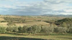 Italians go back to their roots amid economic crisis Instructional Video