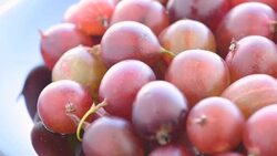 Heap of multicolored ripe gooseberries Stock Footage