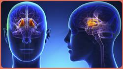 The Science of Opioids Instructional Video