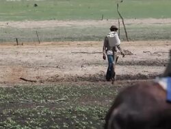 WS TS View of Men going to searching for water on shafts / Pilao Arcado, Bahia, Brazil Stock Footage