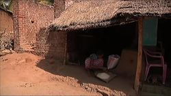 Can technology prevent millions becoming malnourished? News Clip