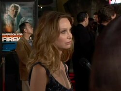 'Firewall' Premiere Stock Footage