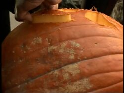 School teacher turned master pumpkin carver sets record News Clip