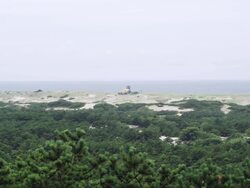 Cape Cod National Seashore dunes and ocean seen from a distance. Stock Footage