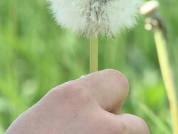 HD: Spring Time Stock Footage