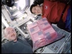 WTC flag comes back from shuttle ride + flag parade News Clip
