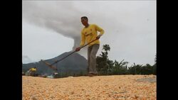 CLEAN : Tens of thousands of Indonesians News Clip