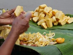 Hand knives with jackfruit seeds. Stock Footage