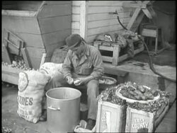 A soldier on KP duty peels potatoes. News Clip