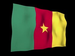 Cameroon Flag Stock Footage