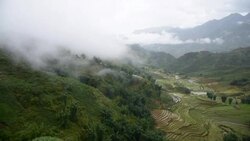 terraced rice field in Sapa, Vietnam Stock Footage