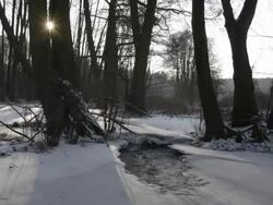 wintry creek Stock Footage