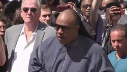 Stevie Wonder attends Funk Brothers Walk of Fame star ceremony and talks on gun control Instructional Video
