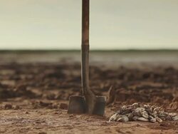 Oyster Stock Footage