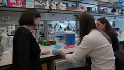 FERTILIZER GENOMICS Instructional Video