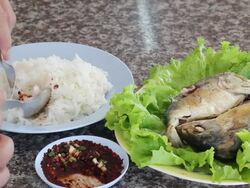 Fried mackerel and rice Stock Footage
