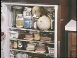 Electrical appliances make life easier. News Clip