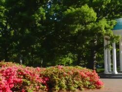 UNC campus Stock Footage