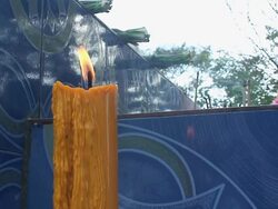 Candle Light, Incense and Flowers Stock Footage