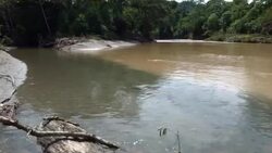 Rio Villano in the Ecuadorian Amazon Stock Footage