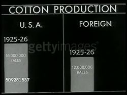 Cotton bales, Production/Map Instructional Video