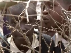 Boys behind dry bushes Stock Footage