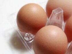 HD : Dolly shot for many eggs Stock Footage