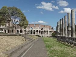 Temple of Venus and Roma by the Coliseum Stock Footage