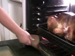 Roast turkey in oven Stock Footage
