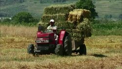 CLEAN : Uproar as Albania to dam Europe's wildest river News Clip