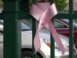 Breast Cancer 3-Day Race for the Cure Stock Footage