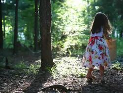 Girl in forest (HD) Stock Footage