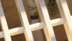 CLEAN : Toilet to tap gains appeal in drought parched California News Clip